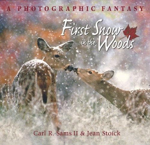In the Woods cover